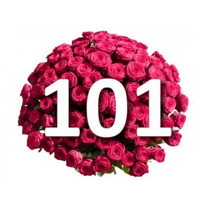 101 růží