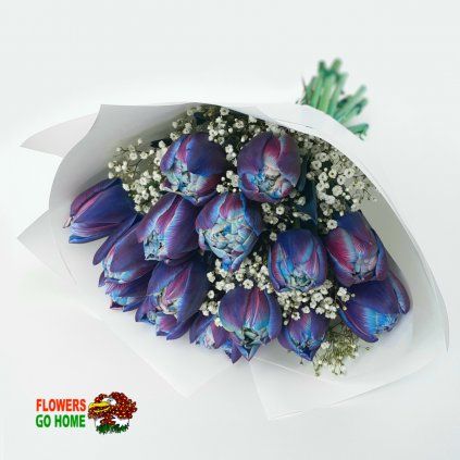 Modré tulipány