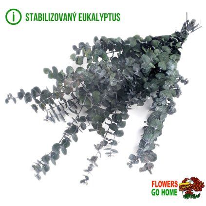 Eukalyptus stabilizovaný
