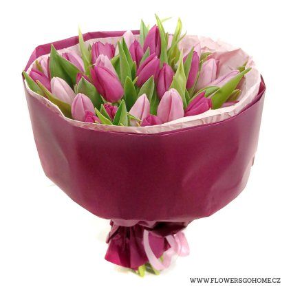 Fialové tulipány