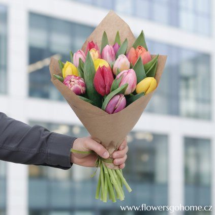 15 tulipánů tulipány Praha