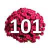 101 růží