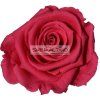 DARK PINK