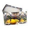 Lemon mýdlo 300 g
