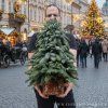 Vánoční stromeček dekorace před vchodové dveře